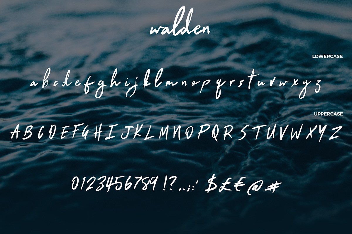 Walden preview 5