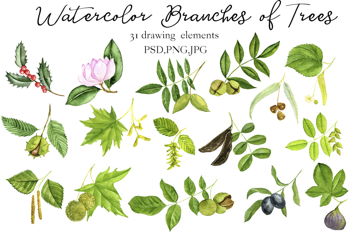 Watercolor Branches of Trees, an Illustration by cat_arch_angel (Photo 3 of 5)