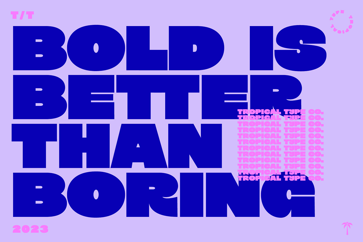 Display Font Collection, a Slab Serif Font by Tropical Type (Photo 44 of 46)