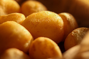 Golden fried patatas bravas or accras close up, warm potato or vegetable fritte, a Photo by Studio ANNA
