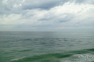Green waves featuring sea, water, and ocean