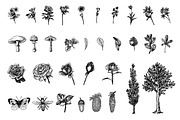 Rustic Clipart Volume 3 - AI PNG EPS, an Object Graphic by BirDIY Design (Thumbnail 6 of 6)