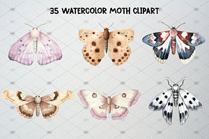 Watercolor Moth Clipart Set, 35 PNG