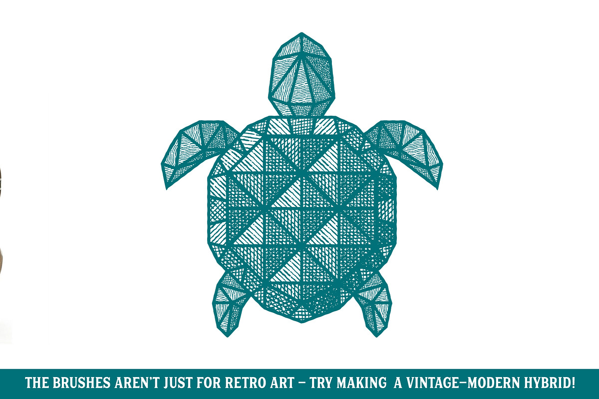 Finest Vintage - Illustrator Brushes, a Brush Add-On by The Artifex Forge (Photo 8 of 12)