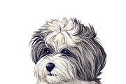 Dogs Cross Breeds 56 Animals Bundle, an Animal Illustration by Dneprstock (Thumbnail 42 of 55)