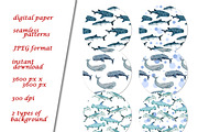 Sea Animals Clipart & Patterns, a Pattern Graphic by Lagmar Design (Thumbnail 5 of 12)