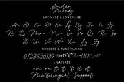 Amster Mondy - Monoline Script, a Script Font by GFRcreative (Thumbnail 2 of 4)