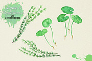 North American Herbs, a Food Illustration by Graphobia (Thumbnail 20 of 21)