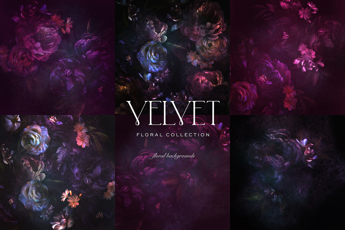 Velvet Peony Moody Floral Graphics, an Object Illustration by Eclectic Anthology (Photo 14 of 16)