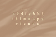 Quine Camera Elegant Serif Font, a Serif Font by Graphicxell (Thumbnail 8 of 8)