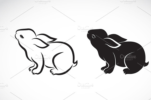 Vector Of Rabbit Design. Animals.