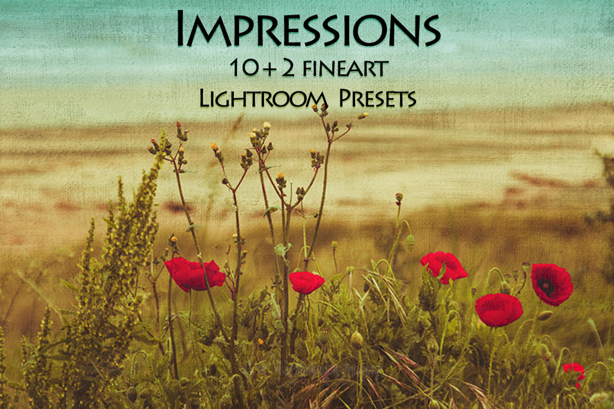 Impressions 10+2 Fineart LR Presets