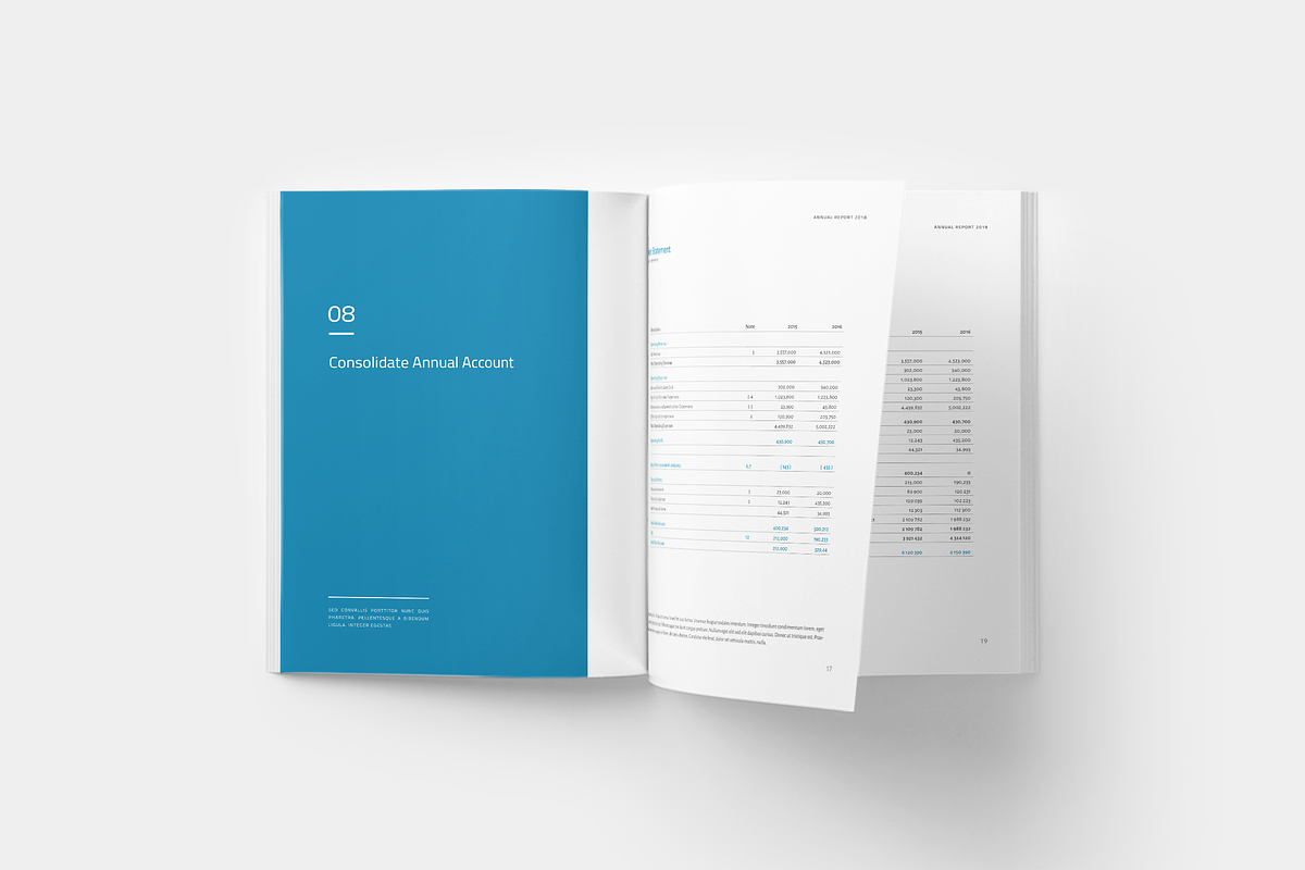 Annual Report, a Brochure Template by silukEight (Photo 9 of 12)