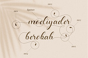 Dominica Calligraphy Script, a Script Font by Idea Studio (Thumbnail 9 of 12)