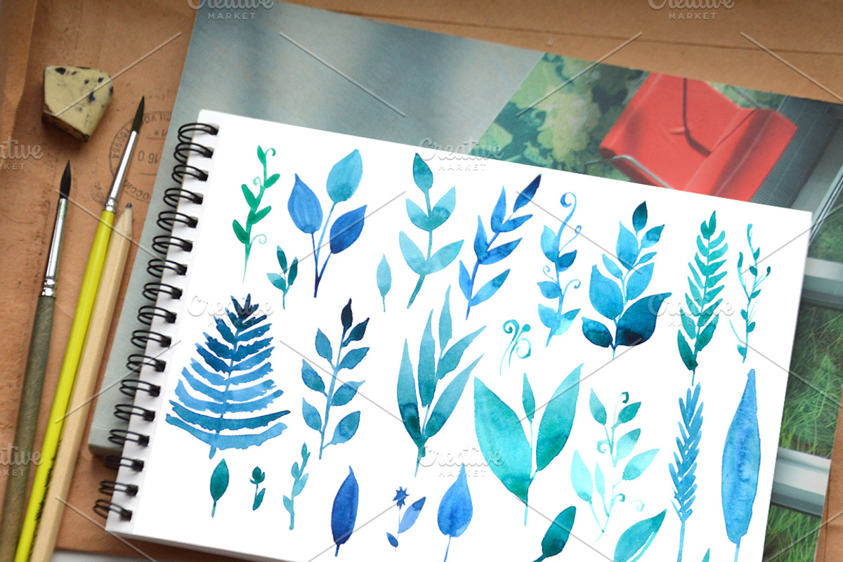 Watercolor Herbs and leaves, an Illustration by Olesya Morokhovets (Photo 4 of 4)