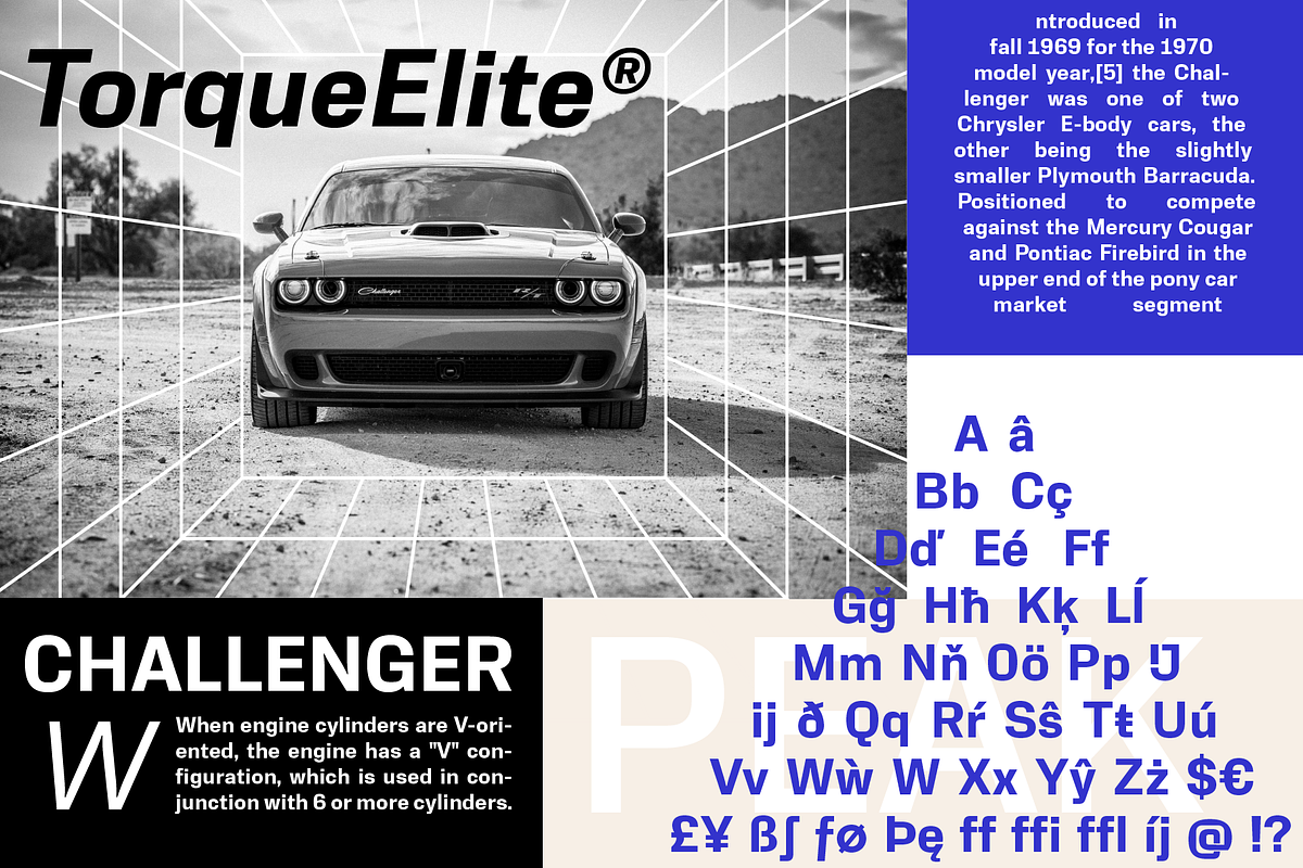Neue Alter Family, a Sans Serif Font by OzType (Photo 4 of 4)