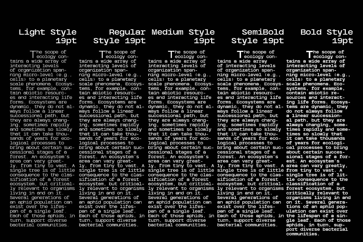 Caleb Mono Font Family, a Sans Serif Font by Ryul Davidson (Photo 17 of 19)