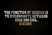CICERO SERIES DISPLAY FONTS, a Serif Font by Alphabet Agency (Thumbnail 5 of 6)