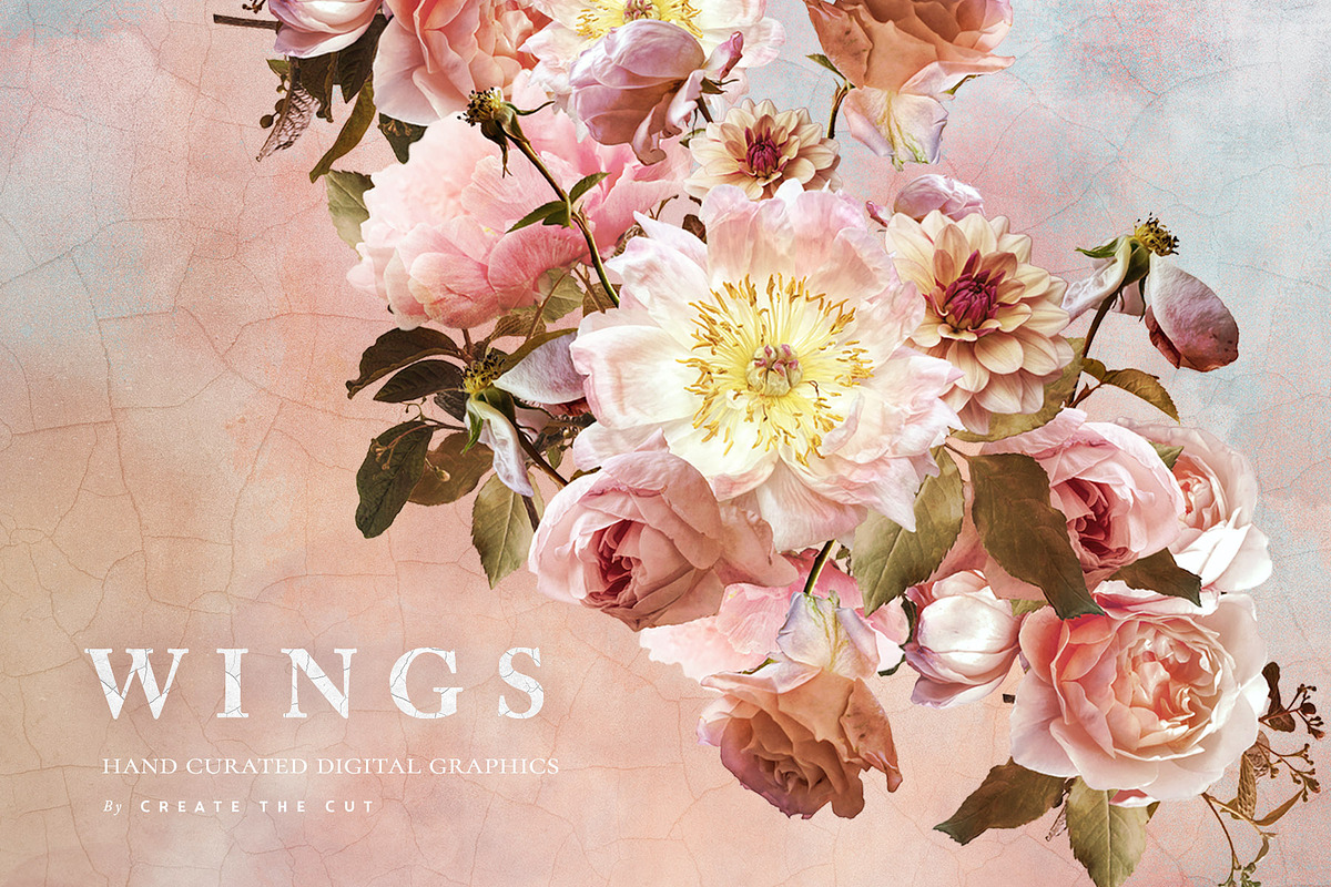 Digital Flower Clip Art - Wings, an Illustration by Create The Cut (Photo 1 of 10)