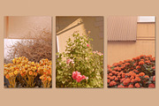 Minimalist beige bundle 75, a Beauty & Fashion Photo by Jenya Porechenskaya (Thumbnail 7 of 7)