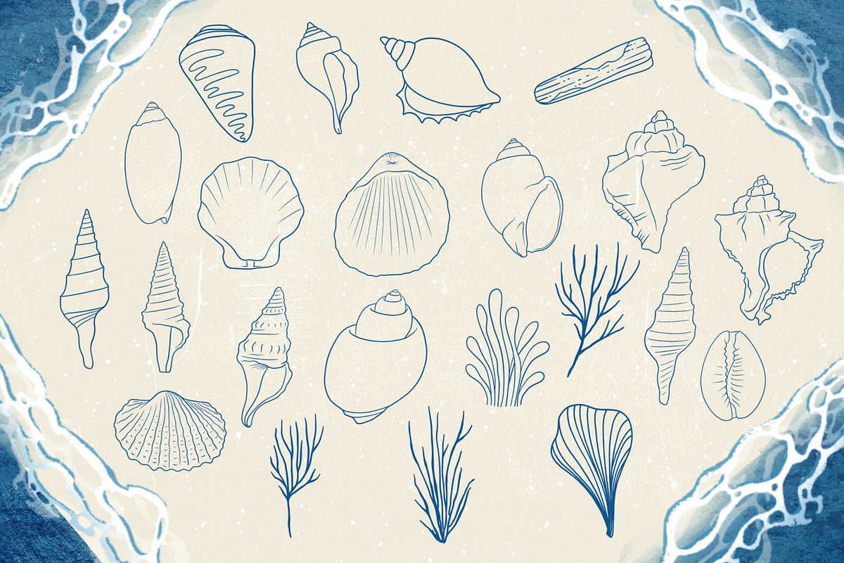 Seashells + Driftwood Procreate Set, a Brush Add-On by PrettyLittlePigs (Photo 5 of 10)