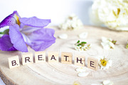 Purple Iris Styled Stock Collection, a Photo by Chalking Up Stock (Thumbnail 18 of 19)