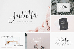 Modern Script FONT BUNDLE