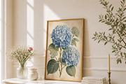 Vintage Blue Hydrangea Botanical Art, a Decorative Illustration by elfy creative (Thumbnail 5 of 6)