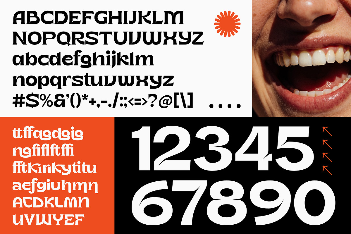 Metika Display Bold Serif, a Serif Font by timelesstype.co (Photo 10 of 10)