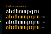 Melloida High Contrast Sans Family, a Sans Serif Font by Lettertype Studio (Thumbnail 4 of 15)