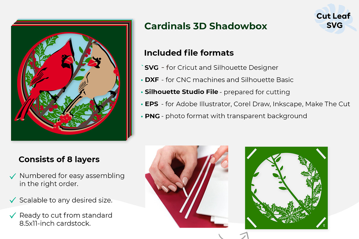 Cardinals 3d Shadowbox SVG, an Animal Illustration by CutLeafSvg (Photo 4 of 6)
