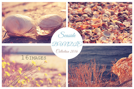 Seaside BUNDLE:16 lovely images!, a Nature Photo by Kate Roubin