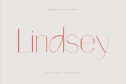Lindsey - Modern Stylish Font, a Sans Serif Font by Product Experience (Thumbnail 1 of 8)