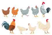 Hens, Chicks and Roosters, an Icon by Elena Istomina (Thumbnail 2 of 6)