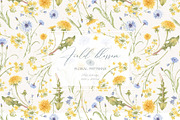 WILDFLOWERS - watercolor collection, an Illustration by Nastya.Chay (Thumbnail 6 of 12)