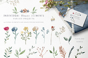 Muddy Paws Dog Clipart, an Animal Illustration by Twigs and Twine (Thumbnail 8 of 12)