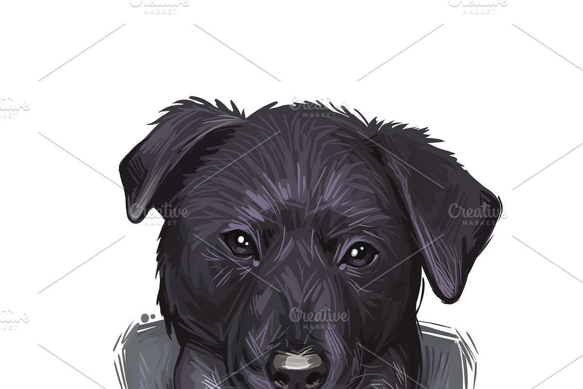 55 Dog Breeds Popular in USA, an Animal Illustration by Dneprstock (Photo 12 of 14)