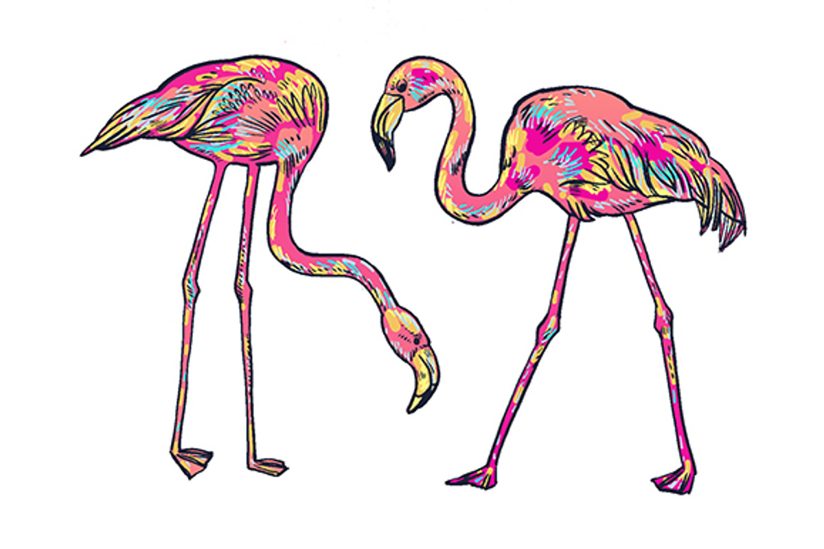 FLAMINGO, an Illustration by Tanya Akhmett (Photo 3 of 11)