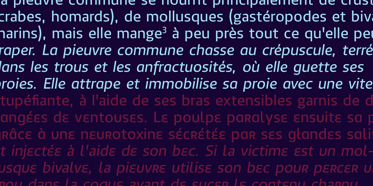 Antipod, a Sans Serif Font by Octotypo (Photo 3 of 7)