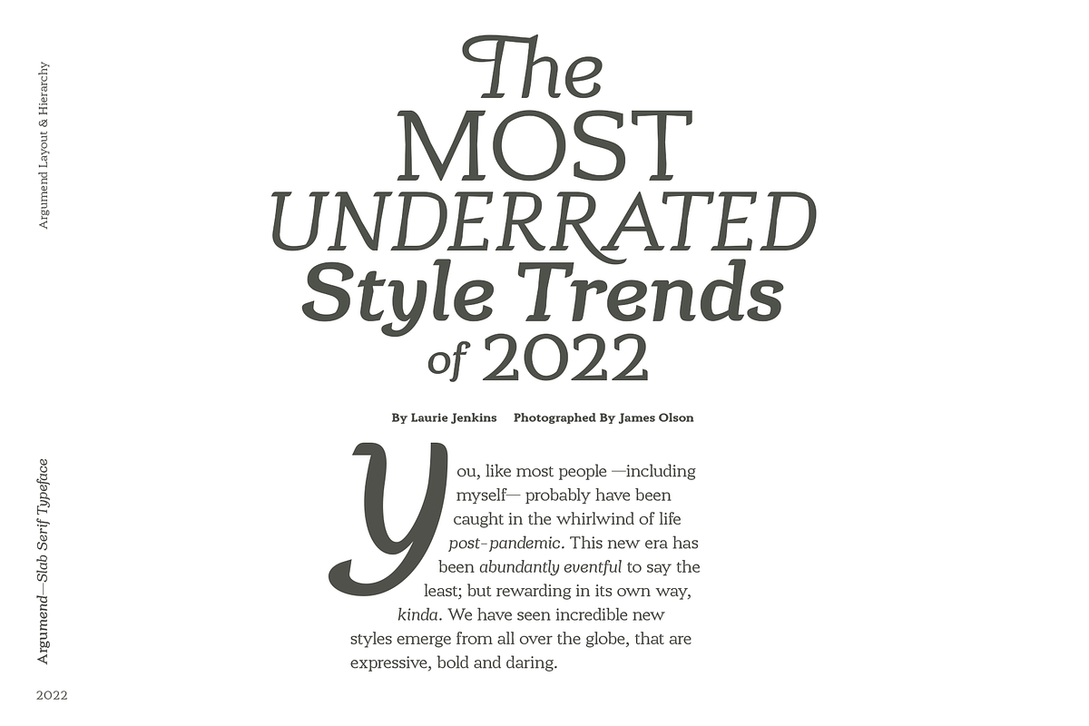 Argumend | A Humanistic Slab Serif, a Slab Serif Font by Ayca Atalay (Photo 3 of 8)