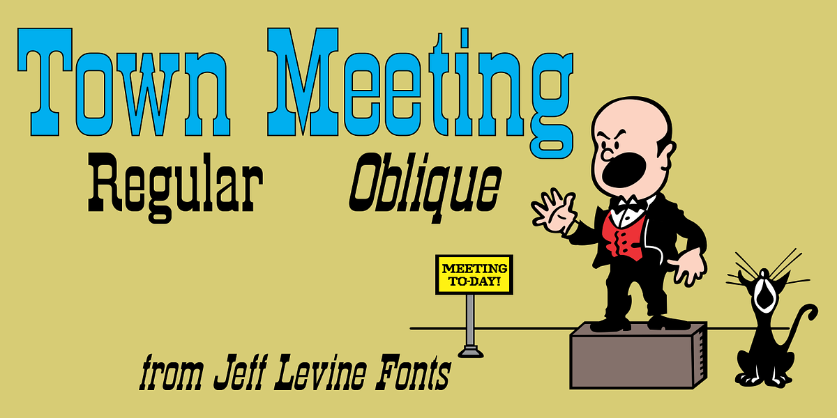 Town Meeting JNL, a Slab Serif Font by Jeff Levine Fonts (Photo 1 of 5)