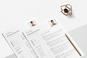 Resume Template CV Professional, a Resume Template by LucaTheme (Thumbnail 6 of 10)