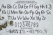 Alphabet, a Sans Serif Font by InermediaSTUDIO (Thumbnail 5 of 7)