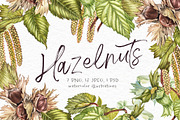 Hazelnuts in botanical style, a Food Illustration by Ann Astro (Thumbnail 1 of 8)