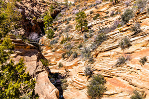 Landscape of zion national park alon stock photo containing zion and canyon, a Nature Photo by Leonid Andronov