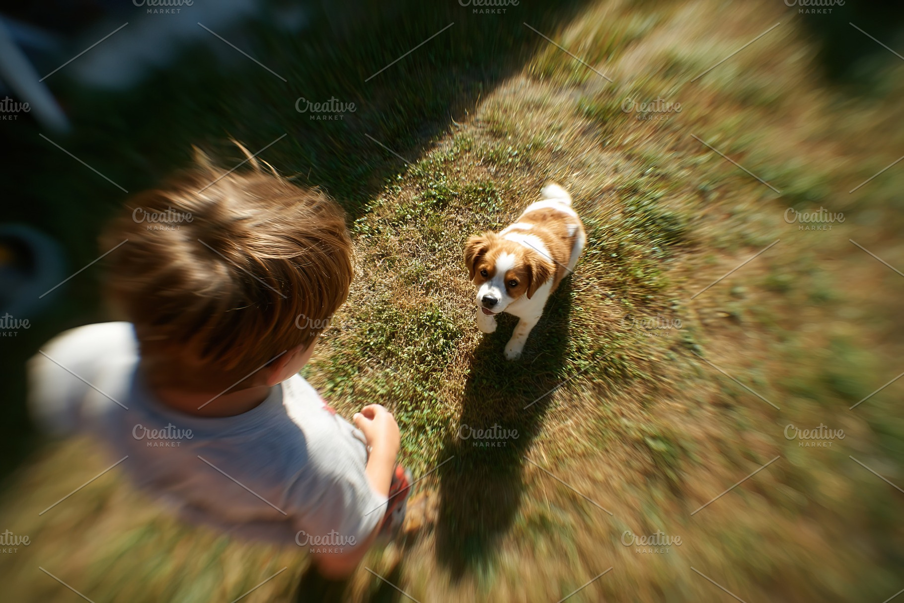 Child playing with a dog in the bright backyard during a sunny afternoon, a Person Photo by AlyaAnd