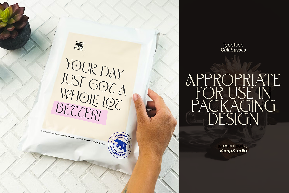 Calabassas Fresh Modern Serif, a Serif Font by Vampstudio (Photo 11 of 13)