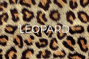 Animal Print Patterns Pack