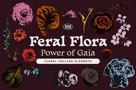 FERAL FLORA Collage Elements, an Object Graphic by angelainthefields