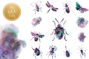 Beetles & Bugs Clipart Set, an Animal Illustration by The Dutch Lady Designs (Thumbnail 3 of 6)